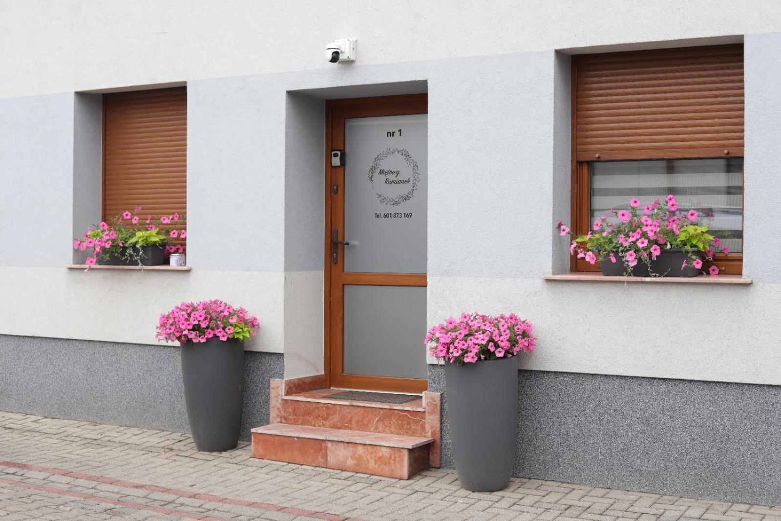 Apartament Mietowy Rumianek Lwowek Екстериор снимка